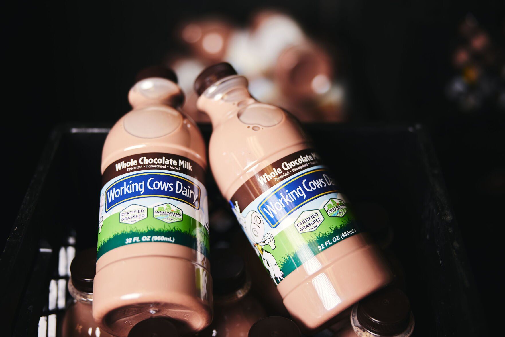 Dairy
